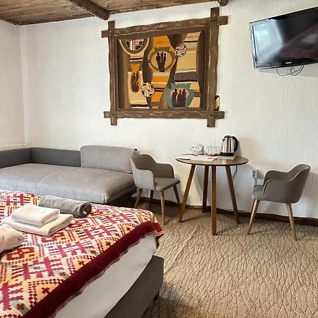 Spa Hotel Gora 4*