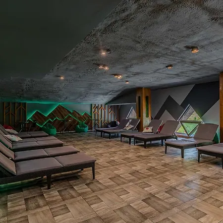 Hotel Gora 4*