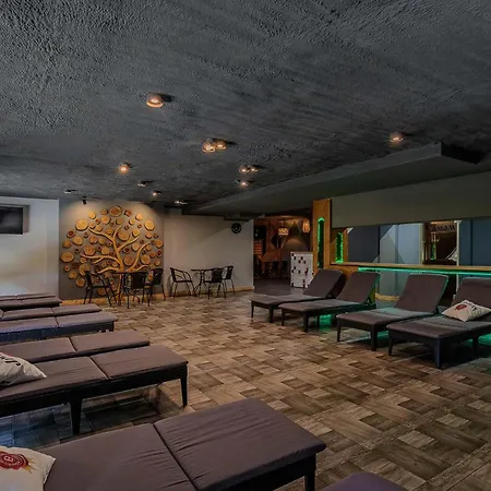 Hotel Gora