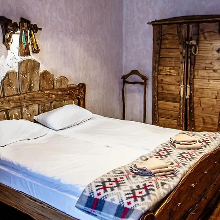 Hotel Spa Hotel Gora 4*