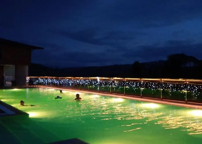 Hotel Gora 4*