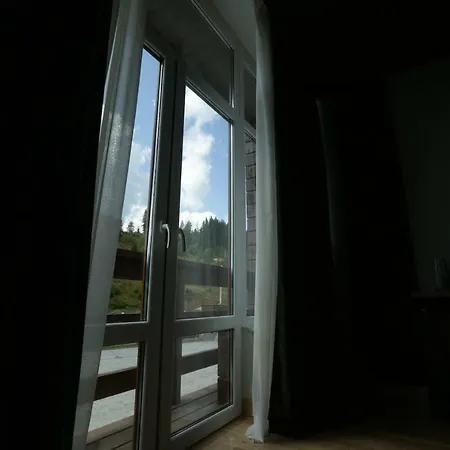 Hotel Gora 4*