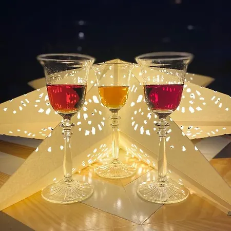 Gora 4* 부코벨